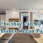 Cho thuê căn hộ Vinhomes Ocean Park Hình 2